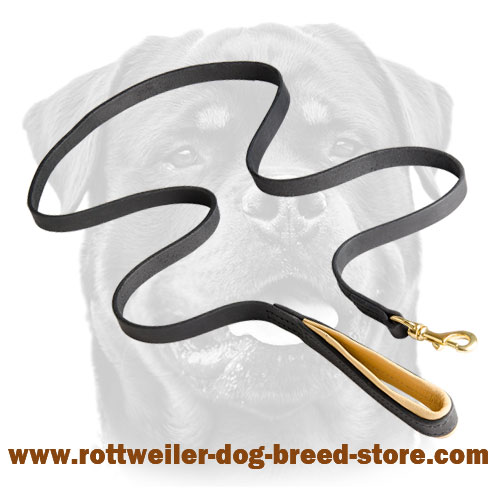 Rottweiler Leash Leather with Padded Handle