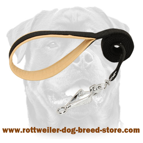 Nylon dog Rottweiler leash with smooth padded handle