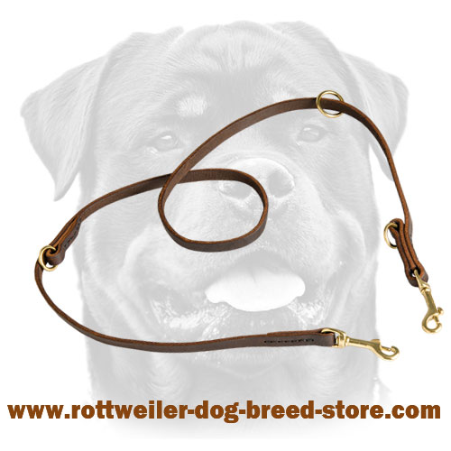 Multipurpose Rottweiler Leash Leather Stitched for Added Strength