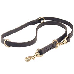 Dog Leashes,leather leashes,coupler leash,nylon dog leads, dog leads, training leads, walking dog leashes