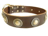 Leather Dog Collar with silver conchos - best dog collar Leather Dog Collar with silver conchos - best dog collar