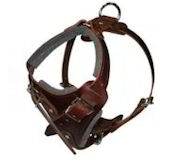 Agitation/training Leather Dog Harness for Rotty,Rottie