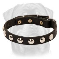 Exclusive Leather Dog Collar with Round Nickel-Plated Studs Exclusive Leather Dog Collar with Round Nickel-Plated Studs