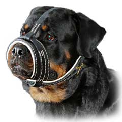 Fuly leathern well fitting dog muzzle