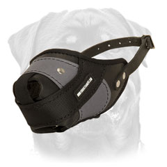 Rottweiler muzzle made of nylon and leather offers extreme durability