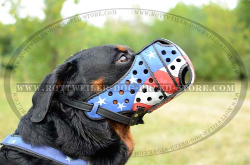 Designer Dog Muzzle For Powerful Rottweilers