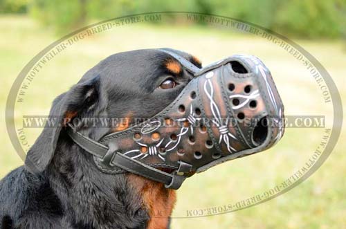 Easy-To-Use Rottweiler Muzzle