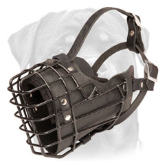  Comfortable Rottweiler muzzle for obedience training