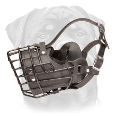 Rottweiler Muzzle with adjustable straps