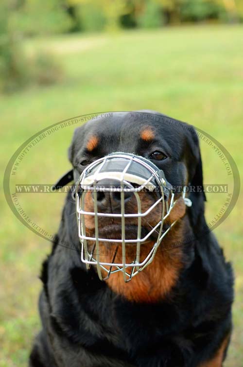 Potent Metal Canine Muzzle Lightweight Rottweiler Training Muzzles