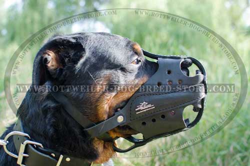 Extra Strong Leather Canine Muzzle Protects During Attack Work