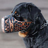 Hand painted by our artists leather Muzzle Dondi Plus