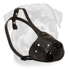 Everyday leather strong muzzle
