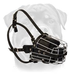 Wire cage dog muzzle padded from inside