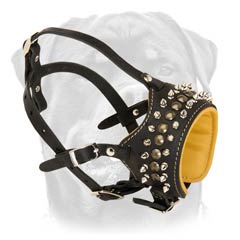 Modern spiked full grain leather dog muzzle