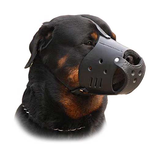 Get Everyday Dog Muzzles Rottweiler Super Ventilation Muzzle