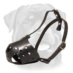 Amazing leather dog muzzle