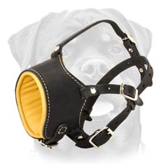 Quality leather muzzle with Nappa padding
