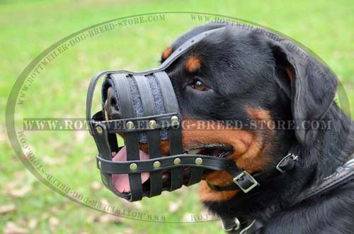 Super Strong Leather Dog Muzzle
