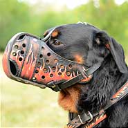 Walking Rottweiler Muzzle With Fire Flames Painting