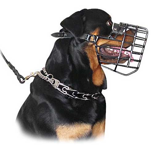 cage for rottweiler beagle wire basket muzzles size chart beagle muzzle breeds picture cage for rottweiler beagle wire basket muzzles size chart beagle muzzle breeds picture