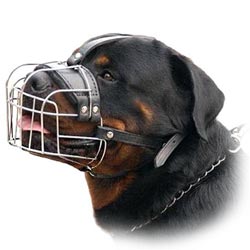 Rottweiler Dog Muzzle,wire basket dog muzzle