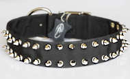 Black Nylon Spiked Dog Collar- 2 Rows of spikes- rotty collar