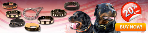 Custom Made Durable Rottweiler Collars