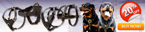 Multifuctional Rottweiler Harnesses