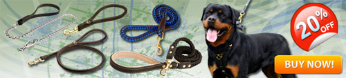 Great Custom Made Rottweiler Leashes