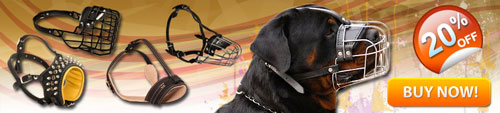 Best Rottweiler Muzzle Online Store