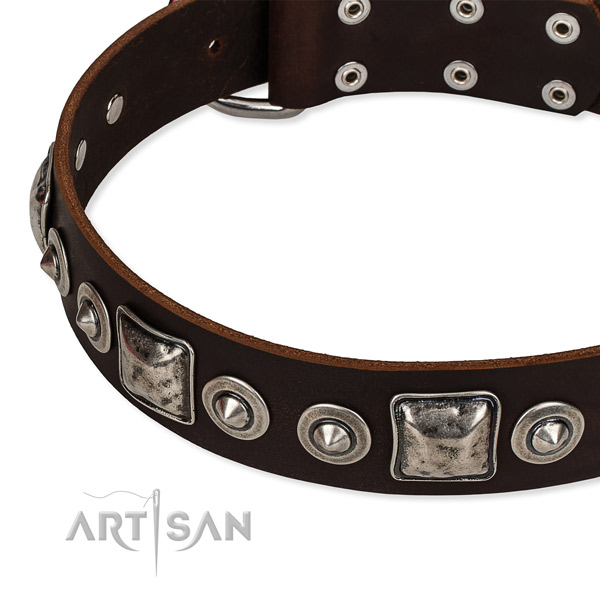 Full grain natural leather dog collar made of reliable material with embellishments