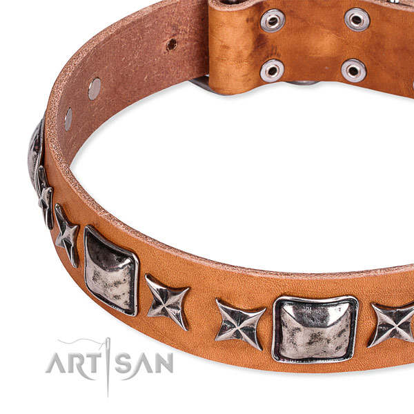 Comfy wearing studded dog collar of strong full grain leather