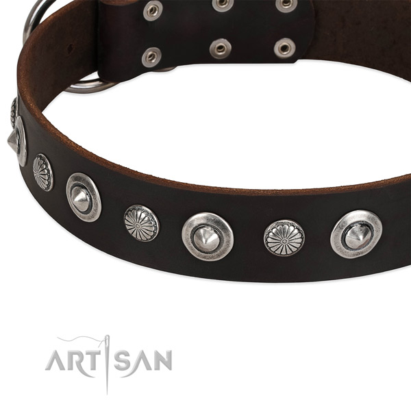 Stylish embellished dog collar of quality full grain genuine leather