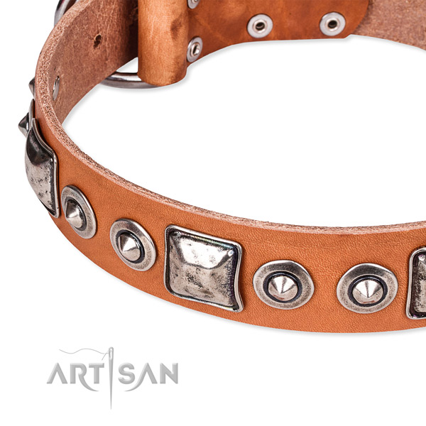 Soft full grain leather dog collar created for your impressive canine
