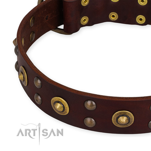 Full grain genuine leather collar with corrosion proof fittings for your stylish dog