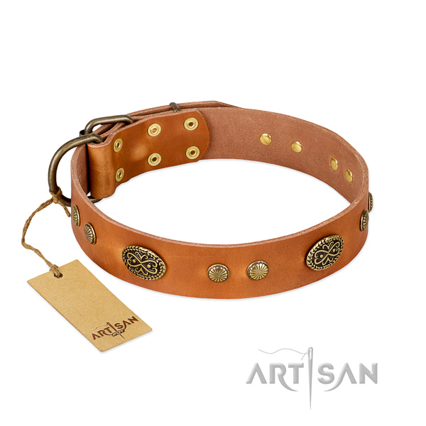 Reliable embellishments on genuine leather dog collar for your pet