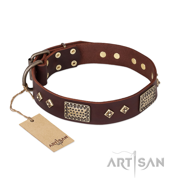 Adjustable full grain genuine leather dog collar for stylish walking