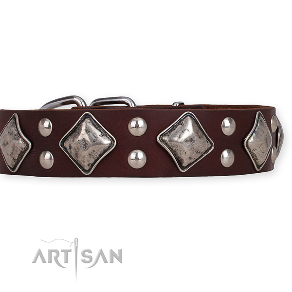 Leather dog collar with designer reliable embellishments