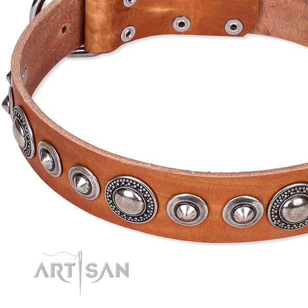 Comfortable wearing adorned dog collar of best quality full grain natural leather