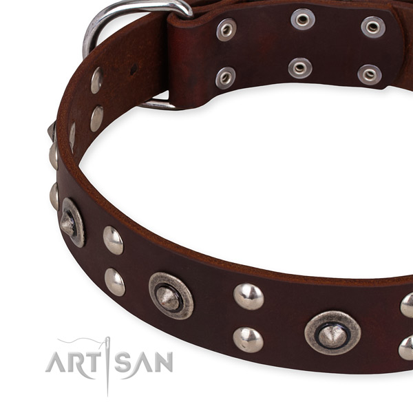 Full grain leather collar with corrosion proof buckle for your lovely pet