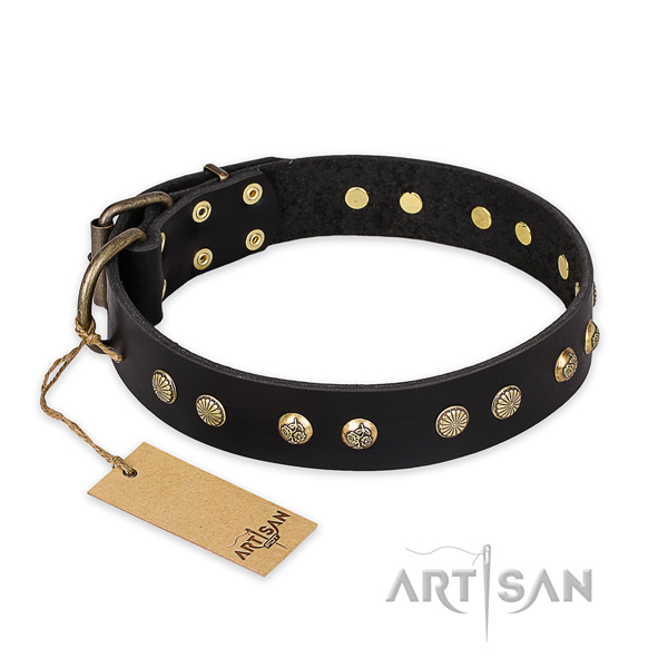 Embellished full grain leather dog collar with corrosion proof fittings