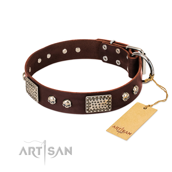 Easy wearing leather dog collar for daily walking your doggie