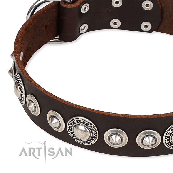Daily walking decorated dog collar of quality full grain natural leather