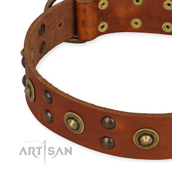 Leather collar with durable fittings for your attractive dog