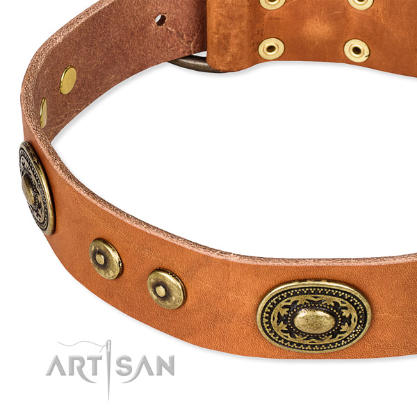 Full grain natural leather dog collar made of best quality material with adornments