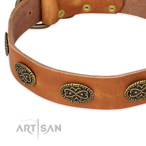 Fine quality full grain genuine leather collar for your handsome dog