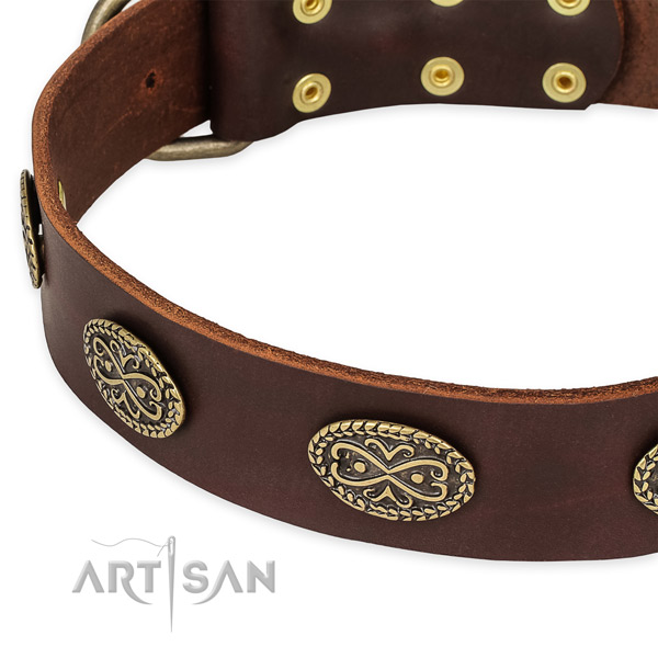 Embellished leather collar for your beautiful dog