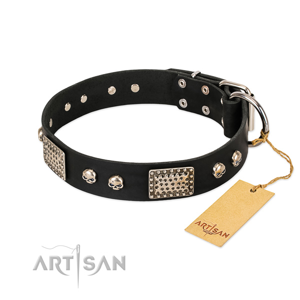 Adjustable leather dog collar for daily walking your pet