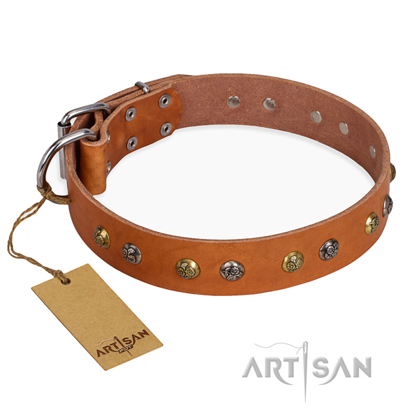 Basic training incredible dog collar with rust-proof buckle